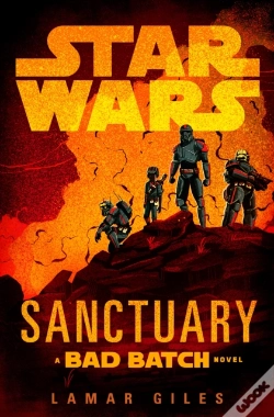 Capa do artigo Star Wars: Sanctuary