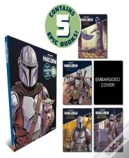 Star Wars The Mandalorian