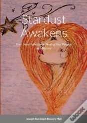 Capa do artigo Stardust Awakens