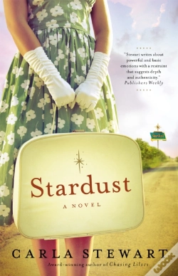 Capa do artigo Stardust