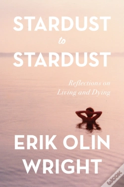 Capa do artigo Stardust To Stardust