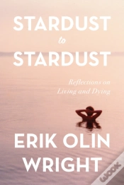 Capa do artigo Stardust To Stardust