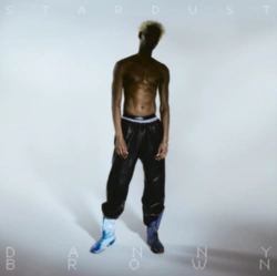 Capa do artigo Stardust - Vinil