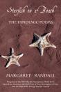Starfish On A Beach - Preview