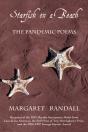Starfish On A Beach - Preview