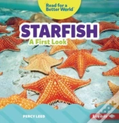 Capa do artigo Starfish