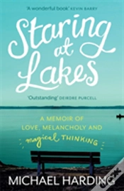 Capa do artigo Staring At Lakes