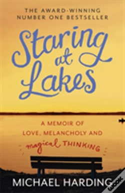 Capa do artigo Staring At Lakes