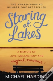 Capa do artigo Staring At Lakes