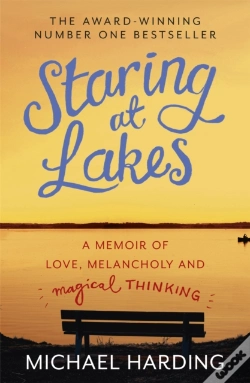 Capa do artigo Staring At Lakes