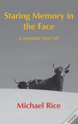 Capa do artigo Staring Memory In The Face