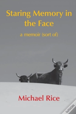 Capa do artigo Staring Memory In The Face