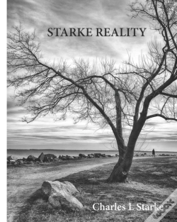 Capa do artigo Starke Reality