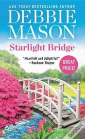 Capa do artigo Starlight Bridge