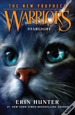 Capa do artigo Starlight