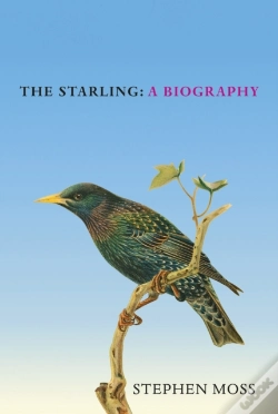 Capa do artigo Starling