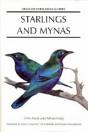 Starlings And Mynas - Preview