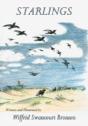 Starlings - Preview