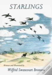 Capa do artigo Starlings
