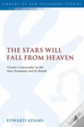 Capa do artigo Stars Will Fall From Heaven