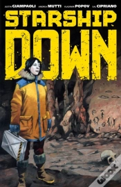Capa do artigo Starship Down