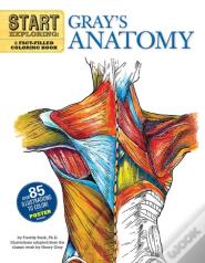 Start Exploring: Gray'S Anatomy