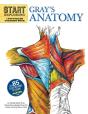 Start Exploring: Gray'S Anatomy - Preview