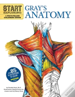 Capa do artigo Start Exploring: Gray'S Anatomy