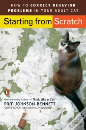 Capa do artigo Starting From Scratch