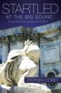 Startled At The Big Sound - Preview