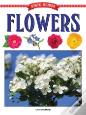 Capa do artigo State Guides To Flowers