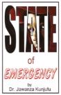 State Of Emergency - Preview