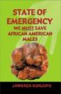 State Of Emergency - Preview