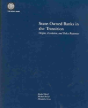 State-Owned Banks In The Transition - Preview
