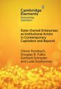 State-Owned Enterprises As Institutional Actors In Contemporary Capitalism And Beyond - Preview