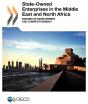 State-Owned Enterprises In The Middle East And North Africa ; Engines Of Development And Competitiveness ? - Preview