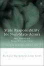 State Responsibility For Non-State Actors - Preview