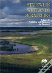 Capa do artigo Statewide Wetlands Strategies