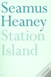 Capa do artigo Station Island
