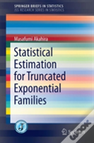 Statistical Estimation For Truncated Exponential Families
