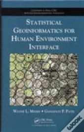 Statistical Geoinformatics For Human Environment Interface