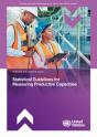 Statistical Guidelines For Measuring Productive Capacities - Preview