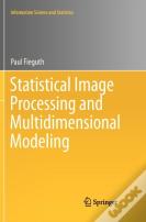 Statistical Image Processing And Multidimensional Modeling