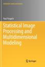Statistical Image Processing And Multidimensional Modeling - Preview