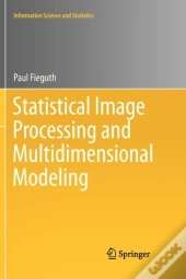 Statistical Image Processing And Multidimensional Modeling