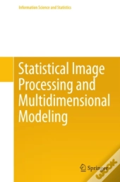 Statistical Image Processing And Multidimensional Modeling