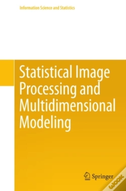 Capa do artigo Statistical Image Processing And Multidimensional Modeling