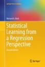 Statistical Learning From A Regression Perspective - Preview