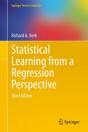 Statistical Learning From A Regression Perspective - Preview