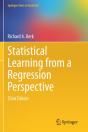 Statistical Learning From A Regression Perspective - Preview